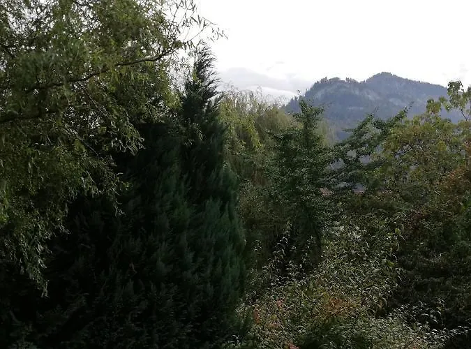 Auszeit Appartamento Dornbirn